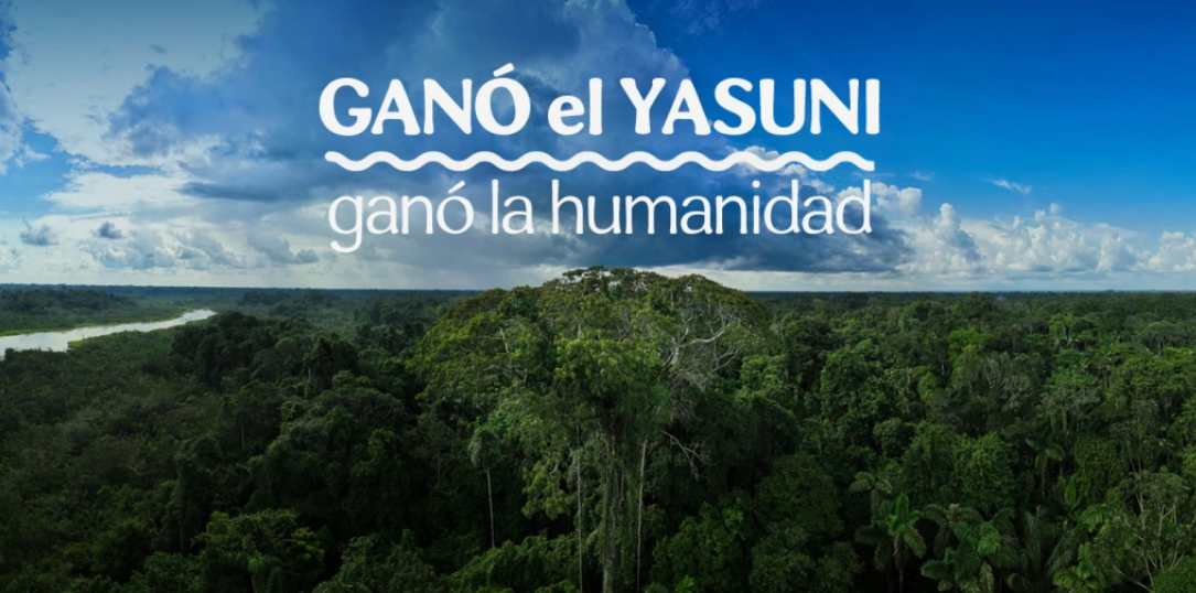 yasuni1
